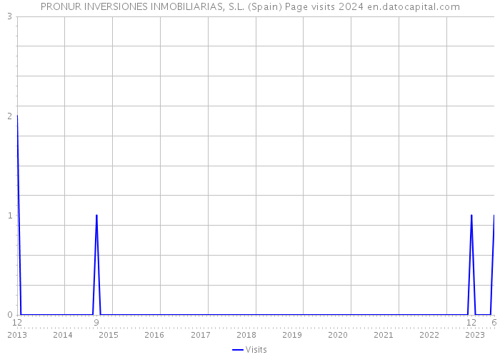 PRONUR INVERSIONES INMOBILIARIAS, S.L. (Spain) Page visits 2024 