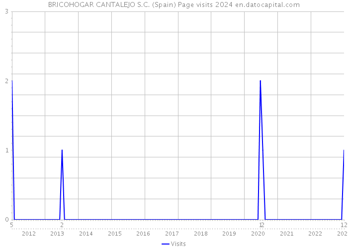 BRICOHOGAR CANTALEJO S.C. (Spain) Page visits 2024 