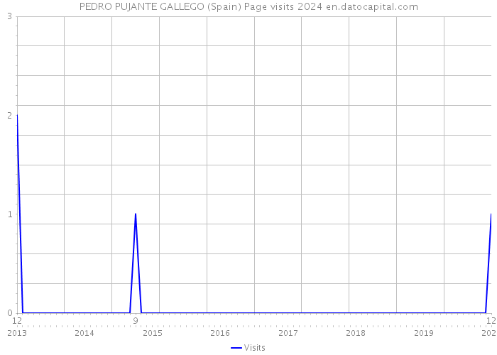 PEDRO PUJANTE GALLEGO (Spain) Page visits 2024 