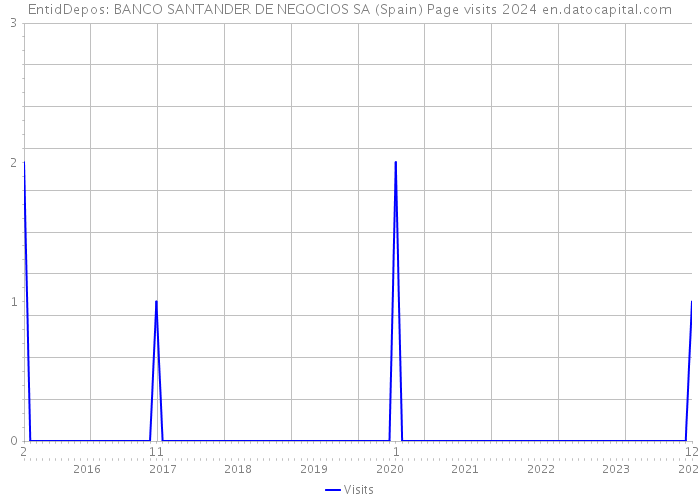 EntidDepos: BANCO SANTANDER DE NEGOCIOS SA (Spain) Page visits 2024 