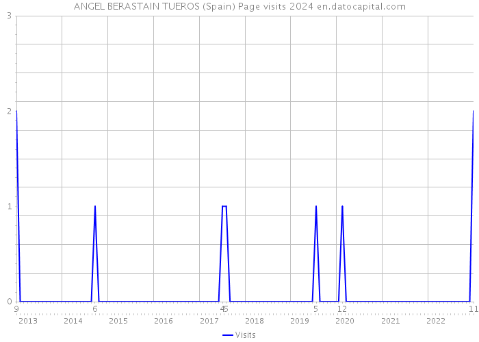 ANGEL BERASTAIN TUEROS (Spain) Page visits 2024 