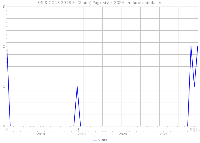 BRI & CONS 2016 SL (Spain) Page visits 2024 