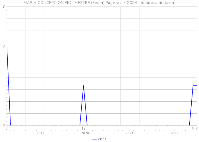 MARIA CONCEPCION FIOL MESTRE (Spain) Page visits 2024 