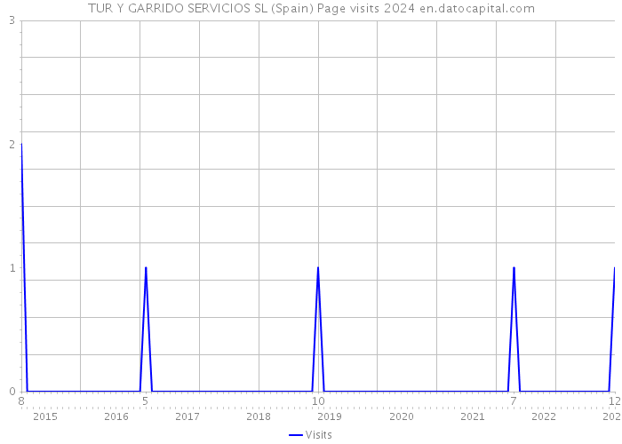 TUR Y GARRIDO SERVICIOS SL (Spain) Page visits 2024 