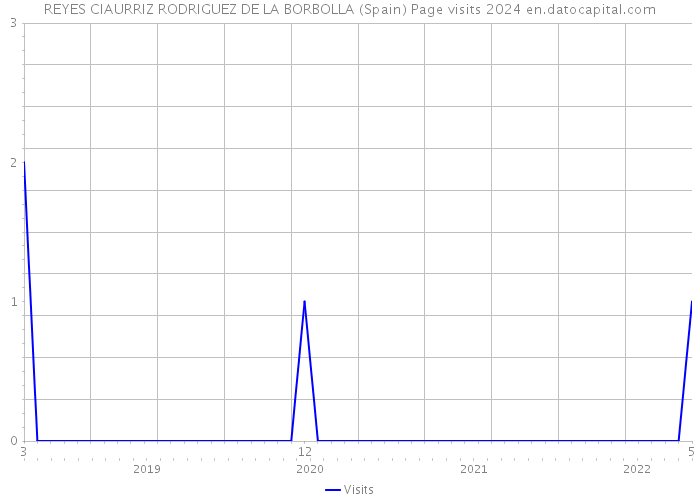 REYES CIAURRIZ RODRIGUEZ DE LA BORBOLLA (Spain) Page visits 2024 