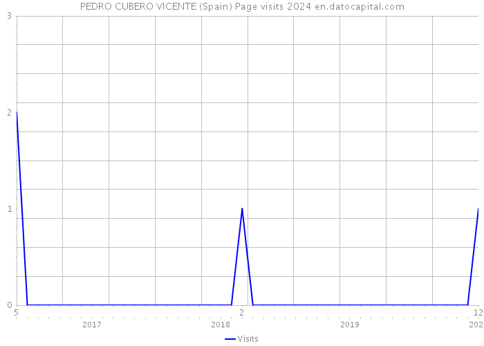 PEDRO CUBERO VICENTE (Spain) Page visits 2024 