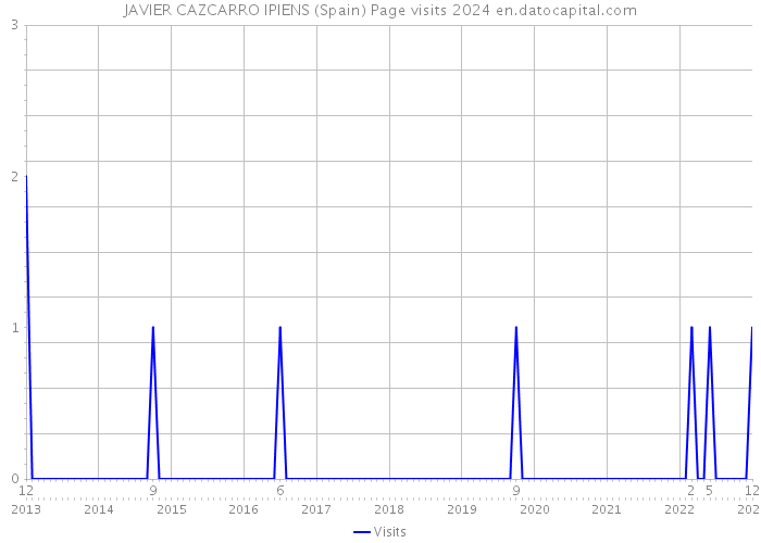 JAVIER CAZCARRO IPIENS (Spain) Page visits 2024 