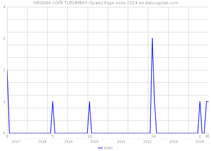 VIRGINIA GOÑI TURUMBAY (Spain) Page visits 2024 