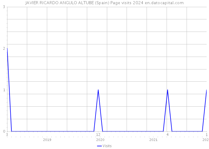 JAVIER RICARDO ANGULO ALTUBE (Spain) Page visits 2024 