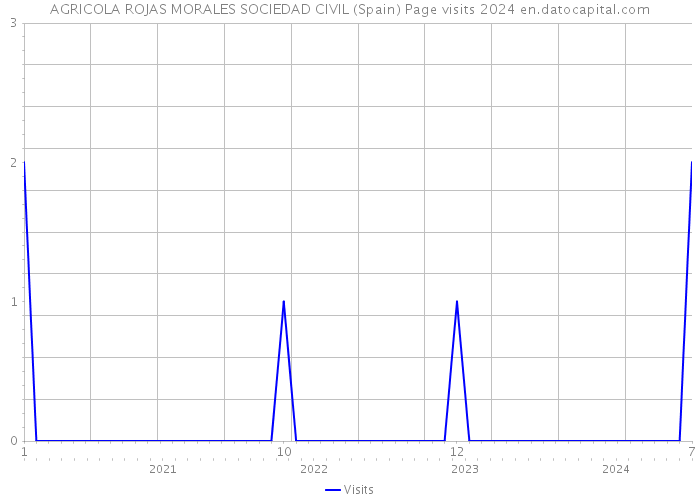 AGRICOLA ROJAS MORALES SOCIEDAD CIVIL (Spain) Page visits 2024 