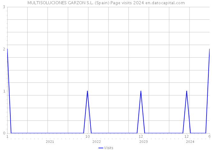 MULTISOLUCIONES GARZON S.L. (Spain) Page visits 2024 