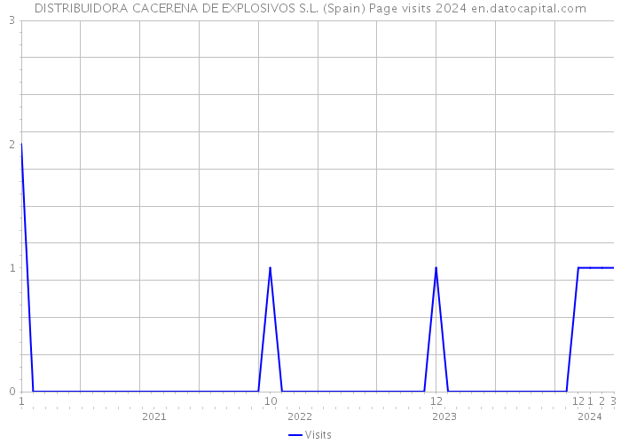 DISTRIBUIDORA CACERENA DE EXPLOSIVOS S.L. (Spain) Page visits 2024 