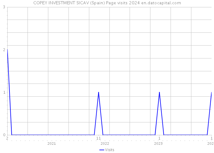 COPEY INVESTMENT SICAV (Spain) Page visits 2024 