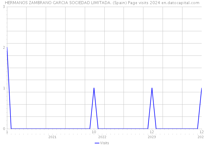HERMANOS ZAMBRANO GARCIA SOCIEDAD LIMITADA. (Spain) Page visits 2024 