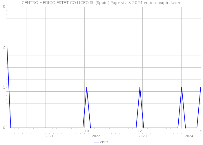 CENTRO MEDICO ESTETICO LICEO SL (Spain) Page visits 2024 