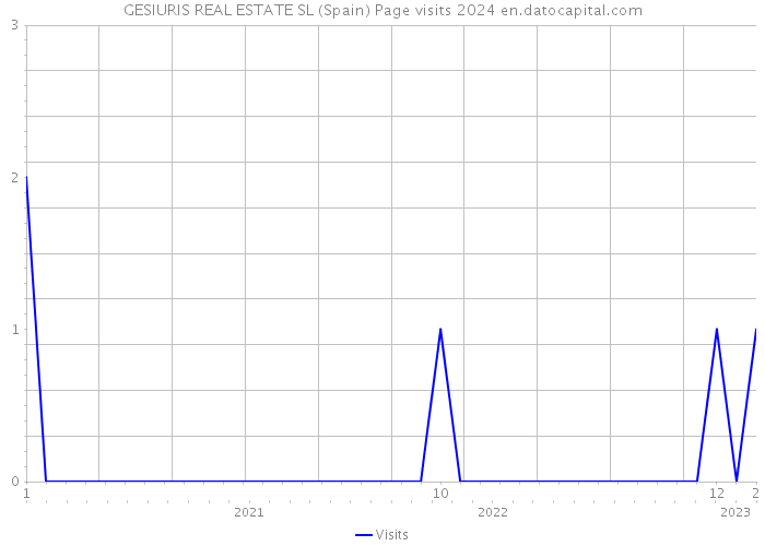 GESIURIS REAL ESTATE SL (Spain) Page visits 2024 