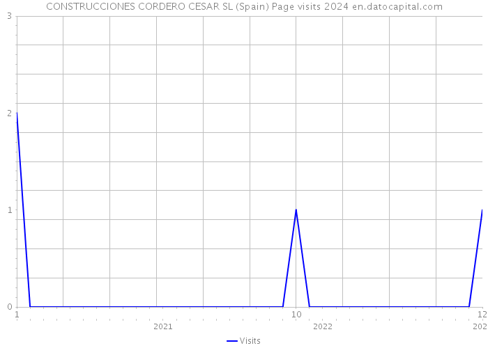 CONSTRUCCIONES CORDERO CESAR SL (Spain) Page visits 2024 