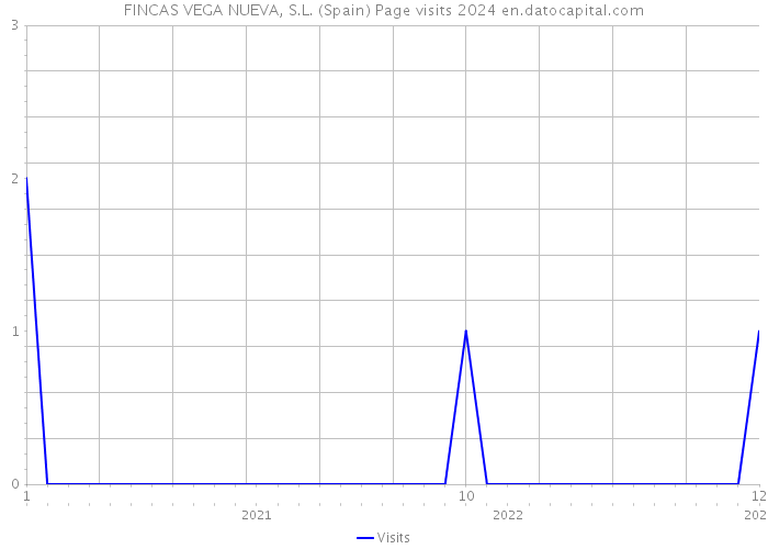 FINCAS VEGA NUEVA, S.L. (Spain) Page visits 2024 