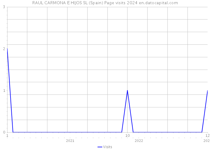 RAUL CARMONA E HIJOS SL (Spain) Page visits 2024 