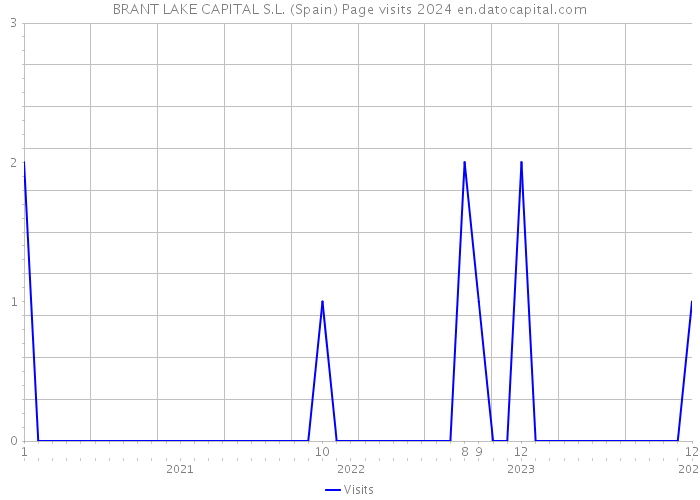 BRANT LAKE CAPITAL S.L. (Spain) Page visits 2024 
