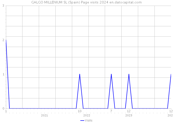 GALGO MILLENIUM SL (Spain) Page visits 2024 