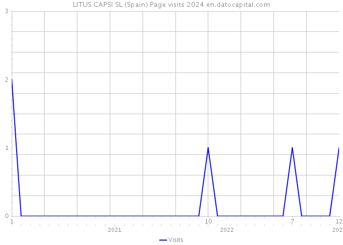 LITUS CAPSI SL (Spain) Page visits 2024 