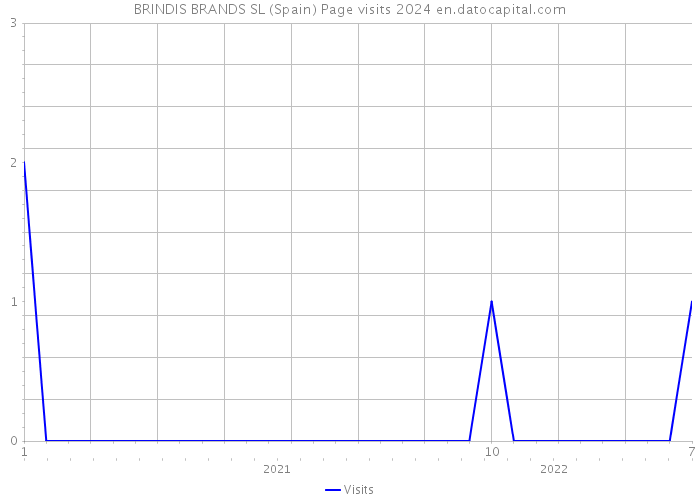 BRINDIS BRANDS SL (Spain) Page visits 2024 