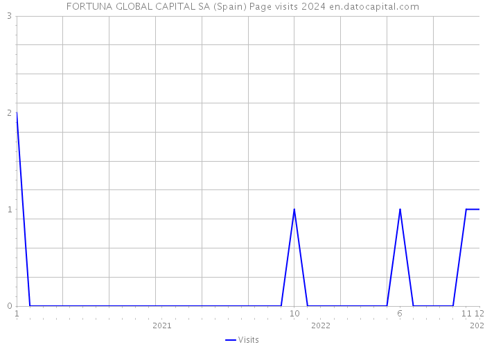 FORTUNA GLOBAL CAPITAL SA (Spain) Page visits 2024 