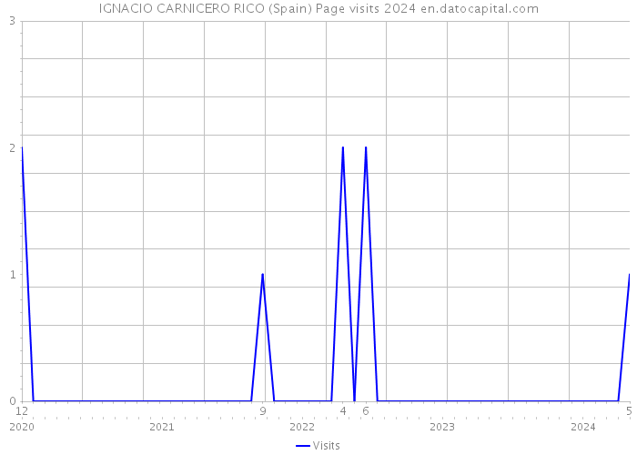 IGNACIO CARNICERO RICO (Spain) Page visits 2024 