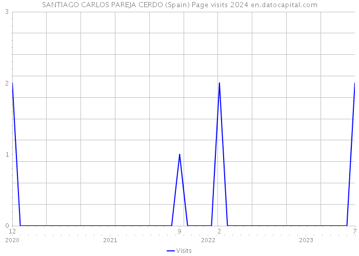 SANTIAGO CARLOS PAREJA CERDO (Spain) Page visits 2024 