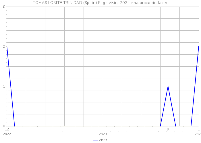 TOMAS LORITE TRINIDAD (Spain) Page visits 2024 