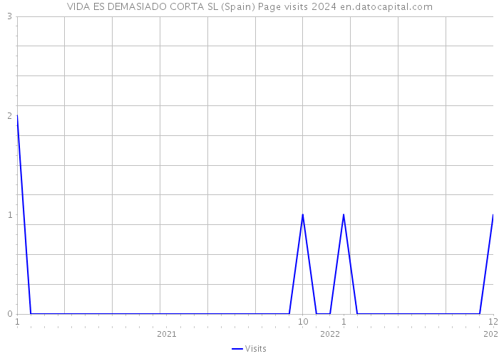 VIDA ES DEMASIADO CORTA SL (Spain) Page visits 2024 