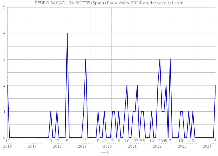 PEDRO SACADURA BOTTE (Spain) Page visits 2024 