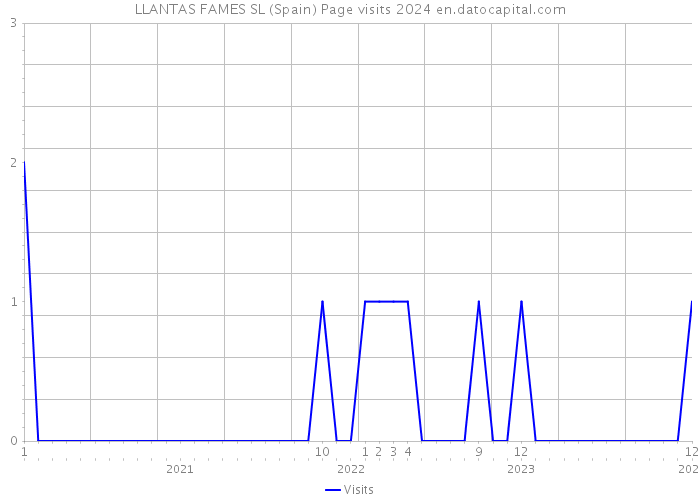 LLANTAS FAMES SL (Spain) Page visits 2024 