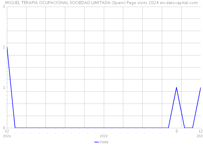 MIGUEL TERAPIA OCUPACIONAL SOCIEDAD LIMITADA (Spain) Page visits 2024 