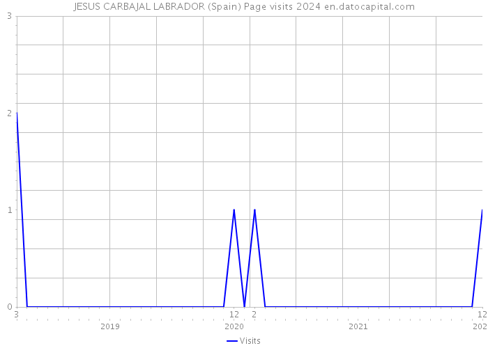JESUS CARBAJAL LABRADOR (Spain) Page visits 2024 