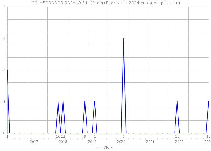 COLABORADOR RAPALO S.L. (Spain) Page visits 2024 