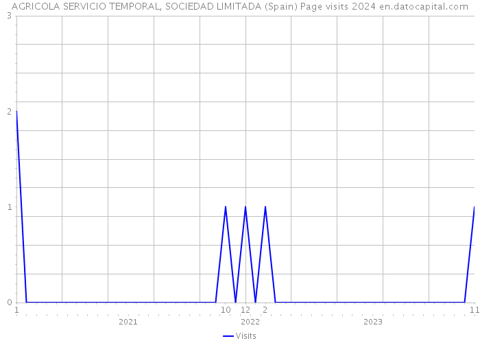 AGRICOLA SERVICIO TEMPORAL, SOCIEDAD LIMITADA (Spain) Page visits 2024 
