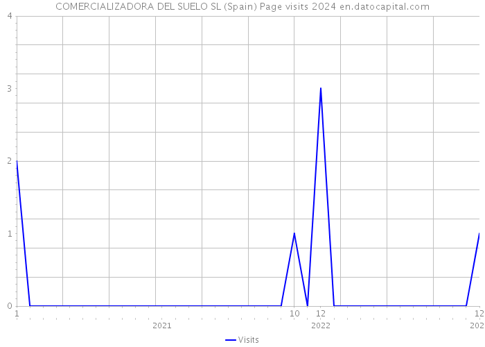 COMERCIALIZADORA DEL SUELO SL (Spain) Page visits 2024 