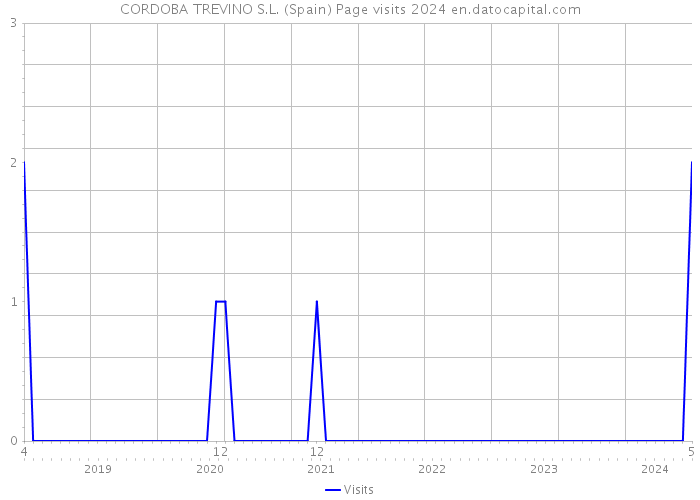 CORDOBA TREVINO S.L. (Spain) Page visits 2024 