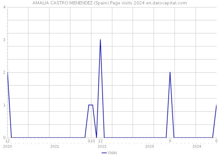 AMALIA CASTRO MENENDEZ (Spain) Page visits 2024 