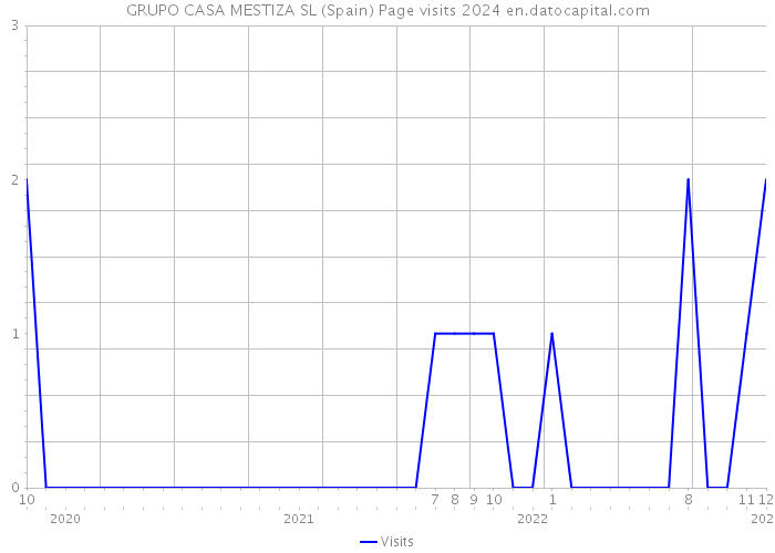 GRUPO CASA MESTIZA SL (Spain) Page visits 2024 