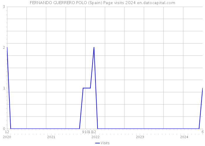 FERNANDO GUERRERO POLO (Spain) Page visits 2024 