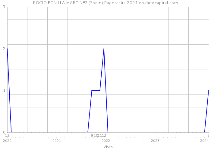 ROCIO BONILLA MARTINEZ (Spain) Page visits 2024 
