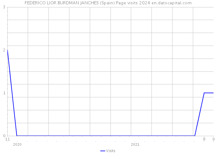 FEDERICO LIOR BURDMAN JANCHES (Spain) Page visits 2024 
