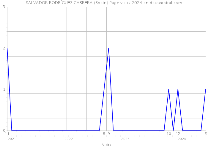 SALVADOR RODRÍGUEZ CABRERA (Spain) Page visits 2024 