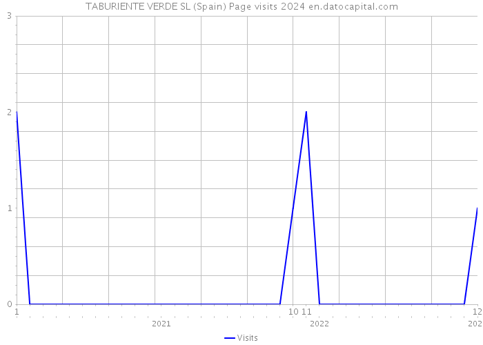 TABURIENTE VERDE SL (Spain) Page visits 2024 