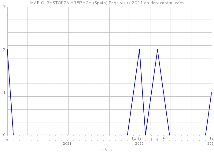 MARIO IRASTORZA AREIZAGA (Spain) Page visits 2024 