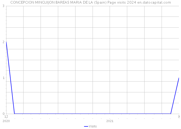 CONCEPCION MINGUIJON BAREAS MARIA DE LA (Spain) Page visits 2024 