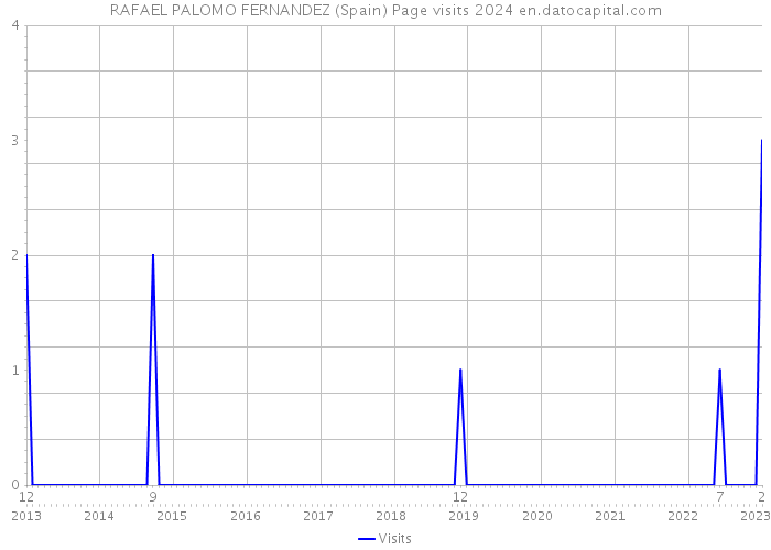 RAFAEL PALOMO FERNANDEZ (Spain) Page visits 2024 